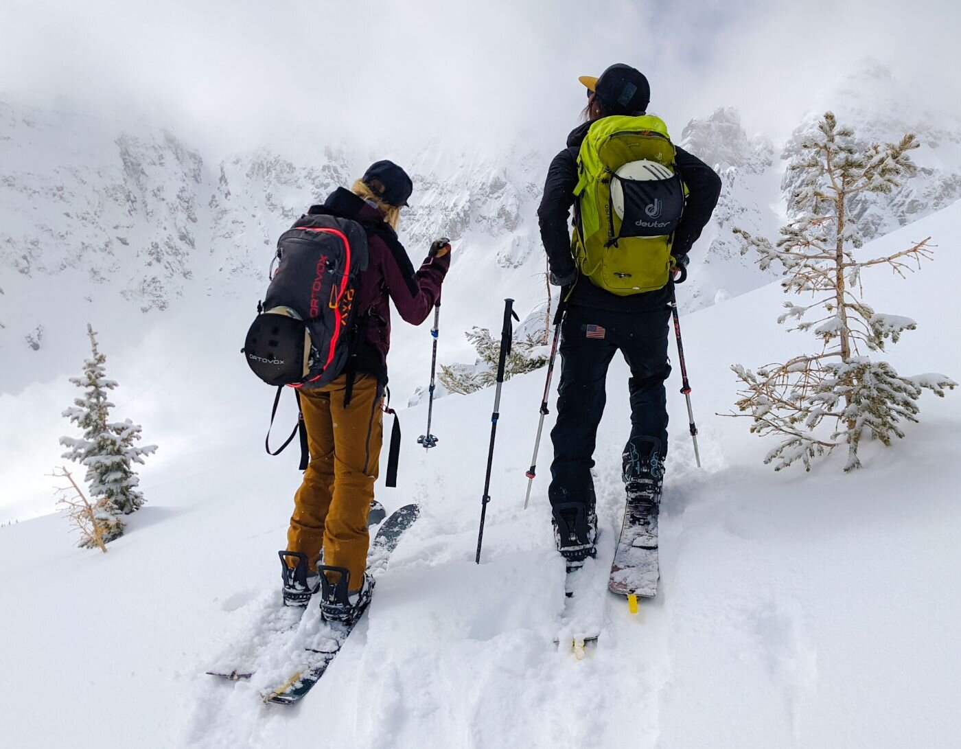 Snow Luggage