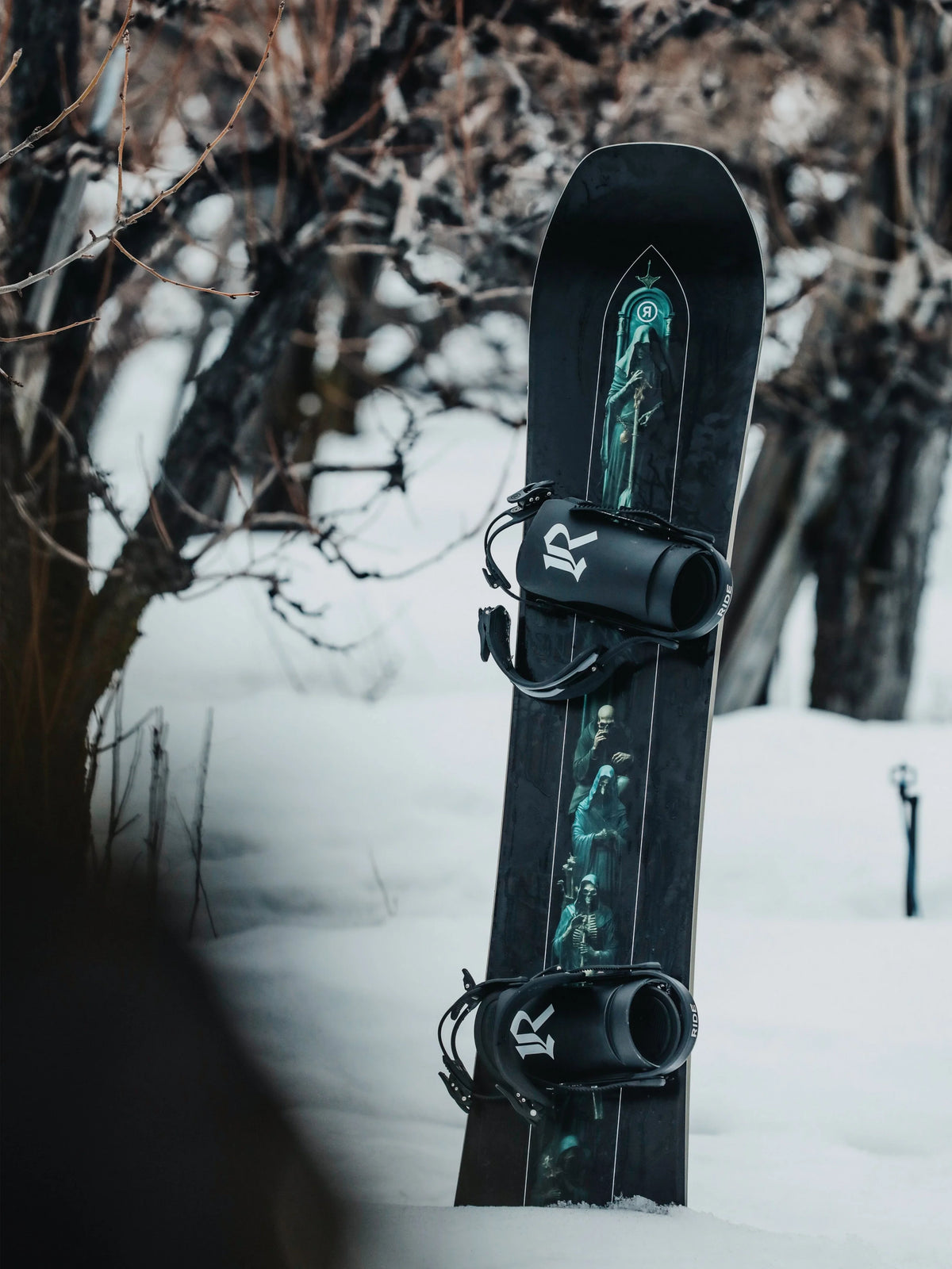 Snowboards 2026