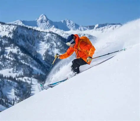 SKI POLES