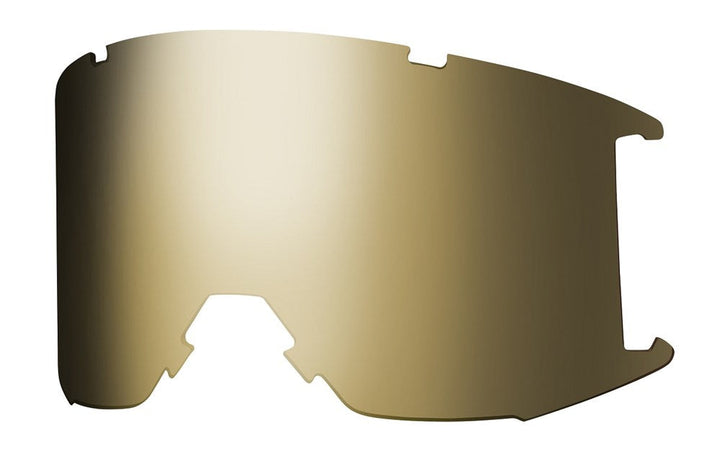 Goggle Lens - Squad