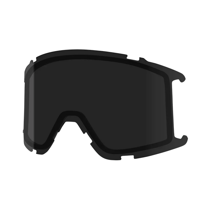 Goggle Lens - Squad S