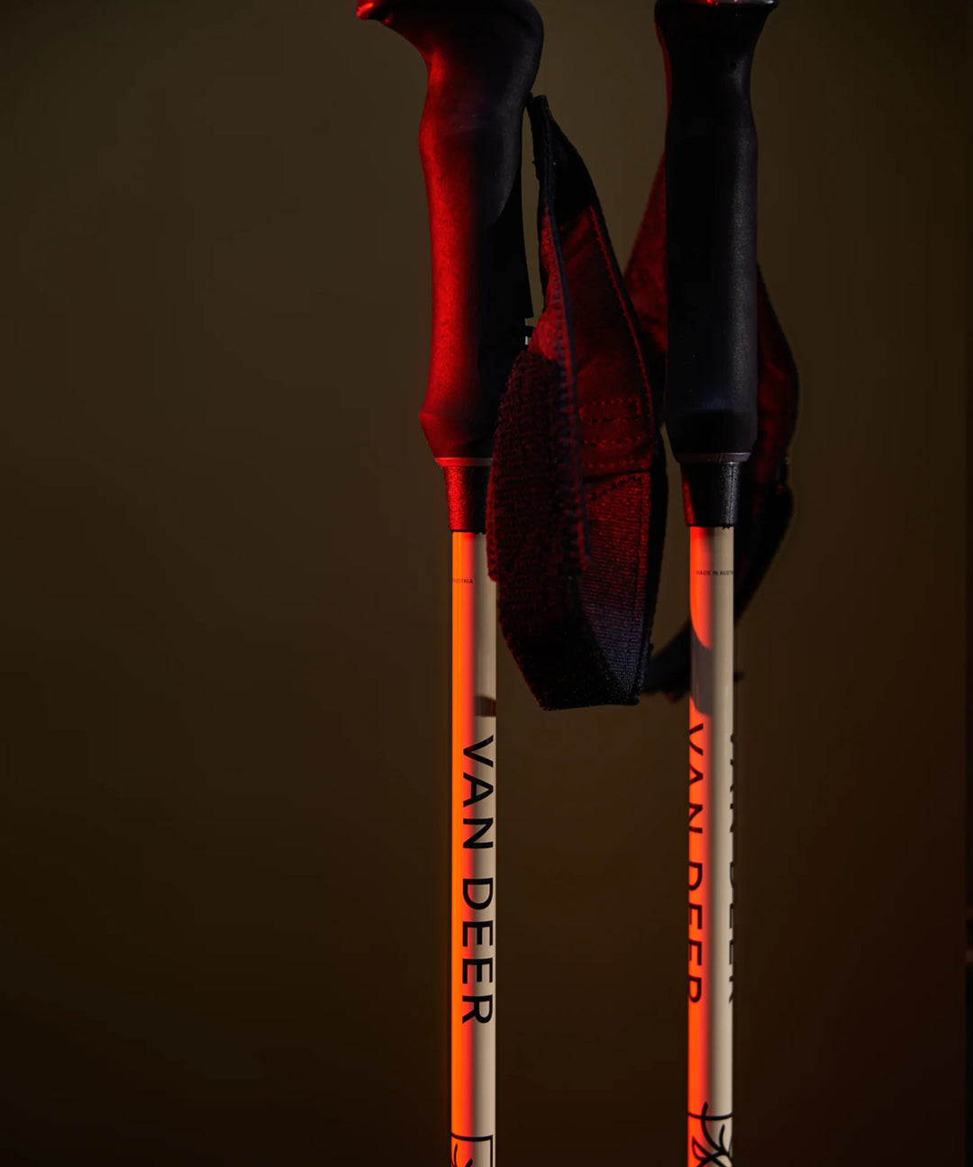 Van Deer Ski Poles - Piste carbon