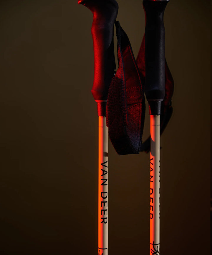 Van Deer Ski Poles - Piste carbon