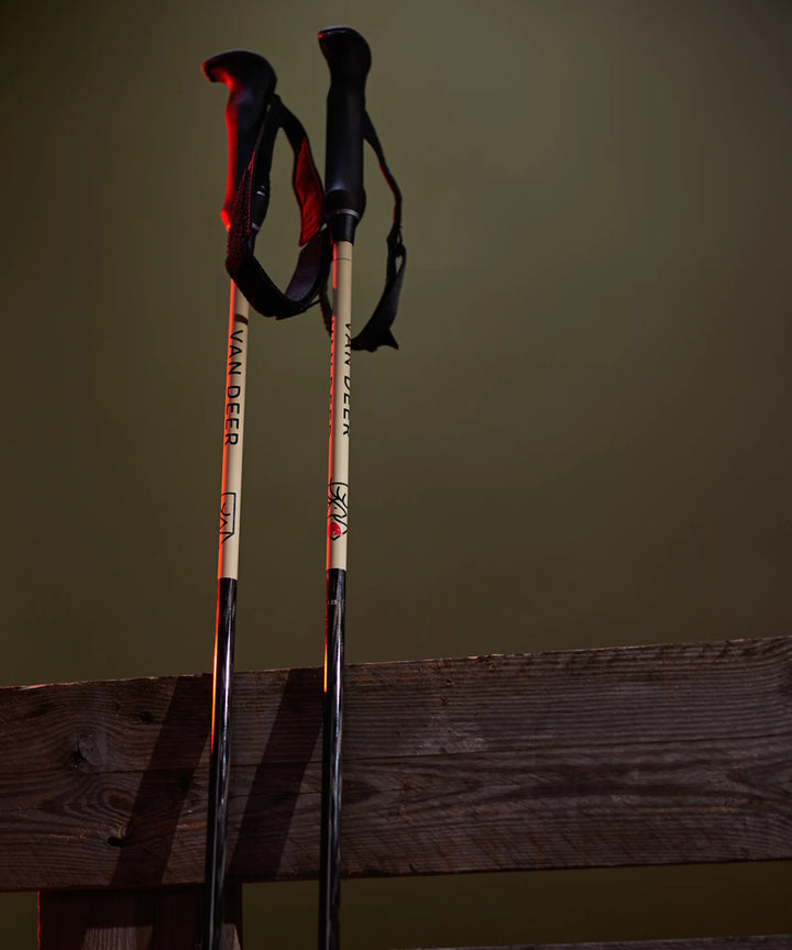 Van Deer Ski Poles - Piste carbon